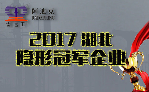 恭祝我司入選湖北省首批支柱產業細分領域隱形冠軍培育企業